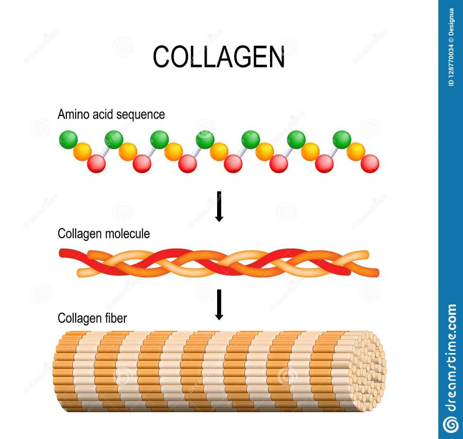 Tại sao dùng collagen gây nổi mụn 2