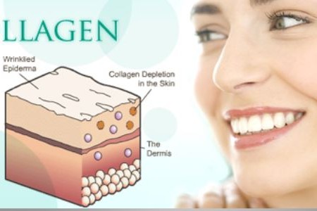 Các thành phần giúp da trẻ khỏe Collagen, Elastin, và Glycosaminoglycans