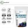 Bột việt quất hữu cơ Micro Ingredients Organic Blueberry 50:1 Concentrate Powder 7