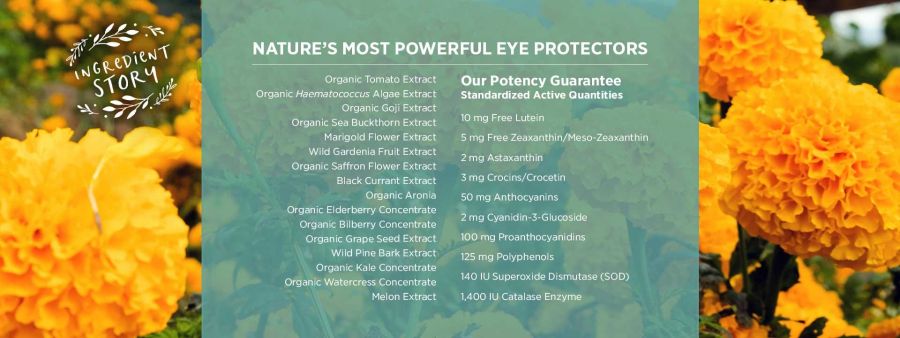 Viên uống bảo vệ mắt Pure Synergy EYE PROTECTOR® 11
