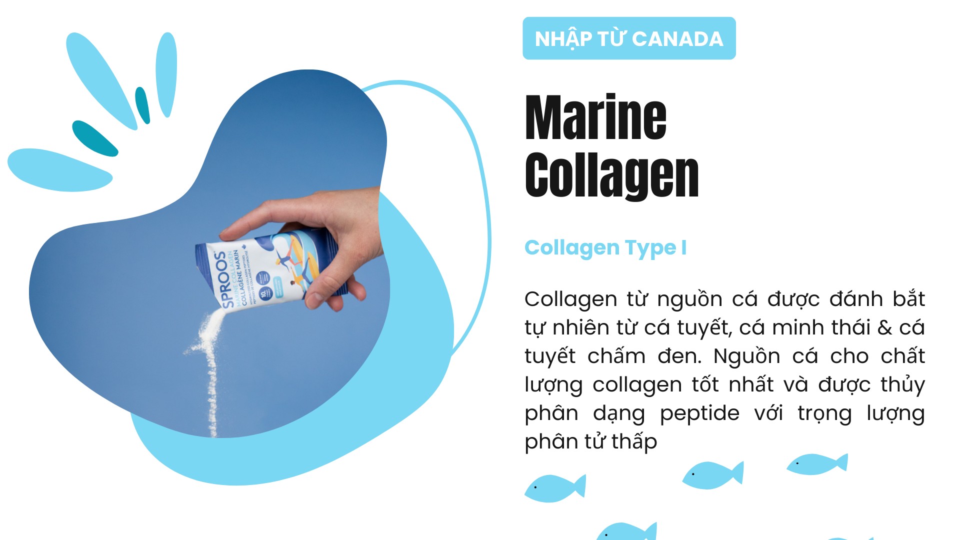 Bột collagen peptide thủy phân từ cá Sproos Marine Collagen 17