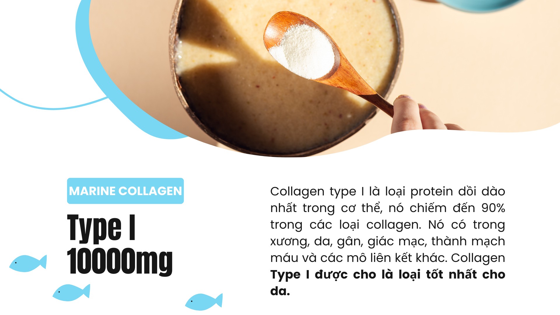 Bột collagen peptide thủy phân từ cá Sproos Marine Collagen 12