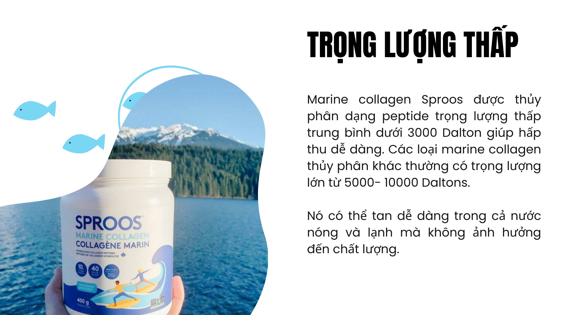 Bột collagen peptide thủy phân từ cá Sproos Marine Collagen 21