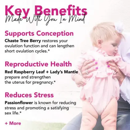 Trà tăng cường chức năng sinh sản hữu cơ Pink Stork Fertility Tea (30 cốc) 2