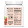 Bột nước ép kỳ tử hữu cơ Sunwarrior Organic Goji Berry Juice Powder 6