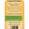 Trà cung cấp chất chống oxy hóa Yogi Green Tea Super Antioxidant 7