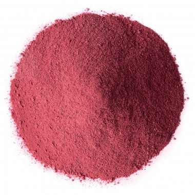 Bột việt quất hữu cơ Food To Live Organic Blueberry Powder 21