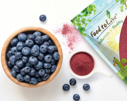 Bột việt quất hữu cơ Food To Live Organic Blueberry Powder 3