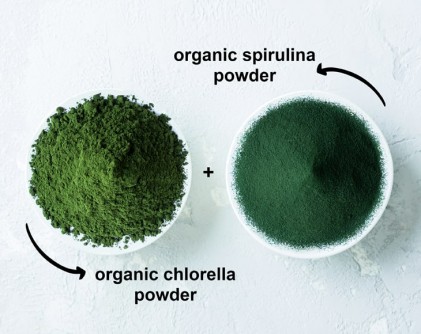 Bột hỗn hợp tảo spirulina và chlorella hữu cơ Food To Live Organic Algae Powder Mix 3
