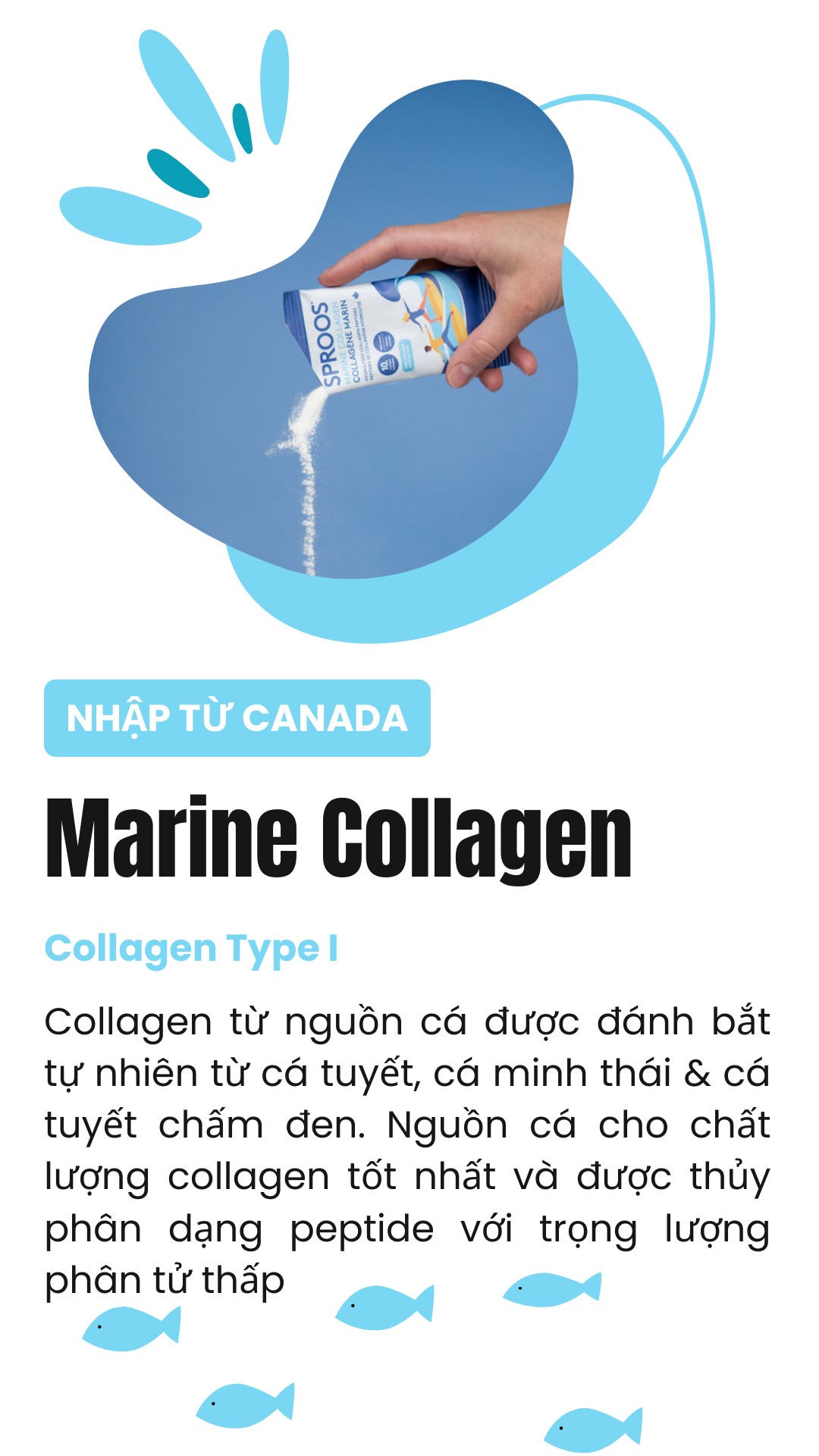 Bột collagen peptide thủy phân từ cá Sproos Marine Collagen 18