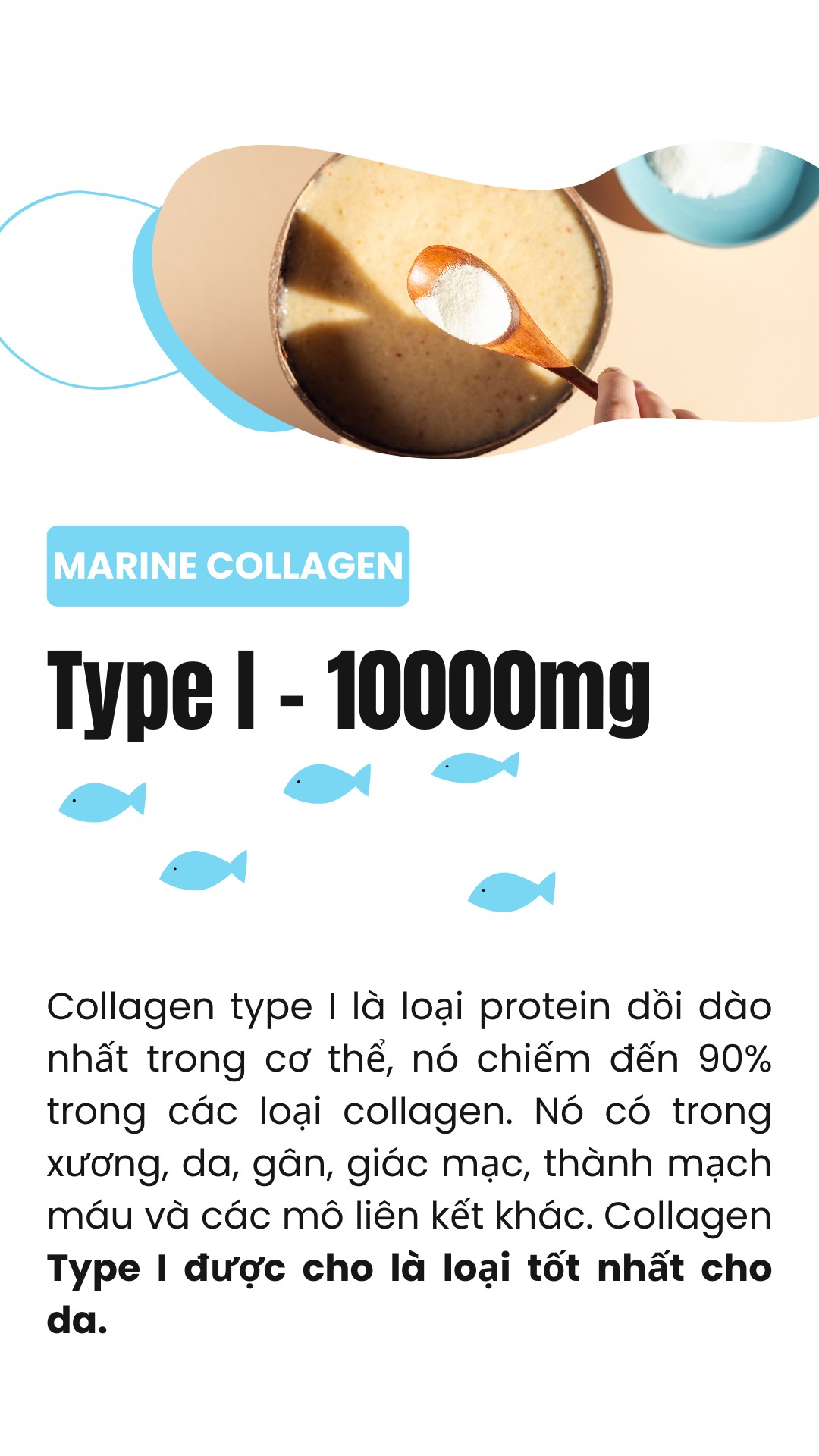 Bột collagen peptide thủy phân từ cá Sproos Marine Collagen 20