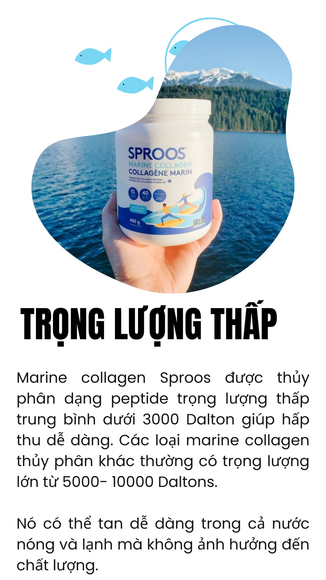 Bột collagen peptide thủy phân từ cá Sproos Marine Collagen 22