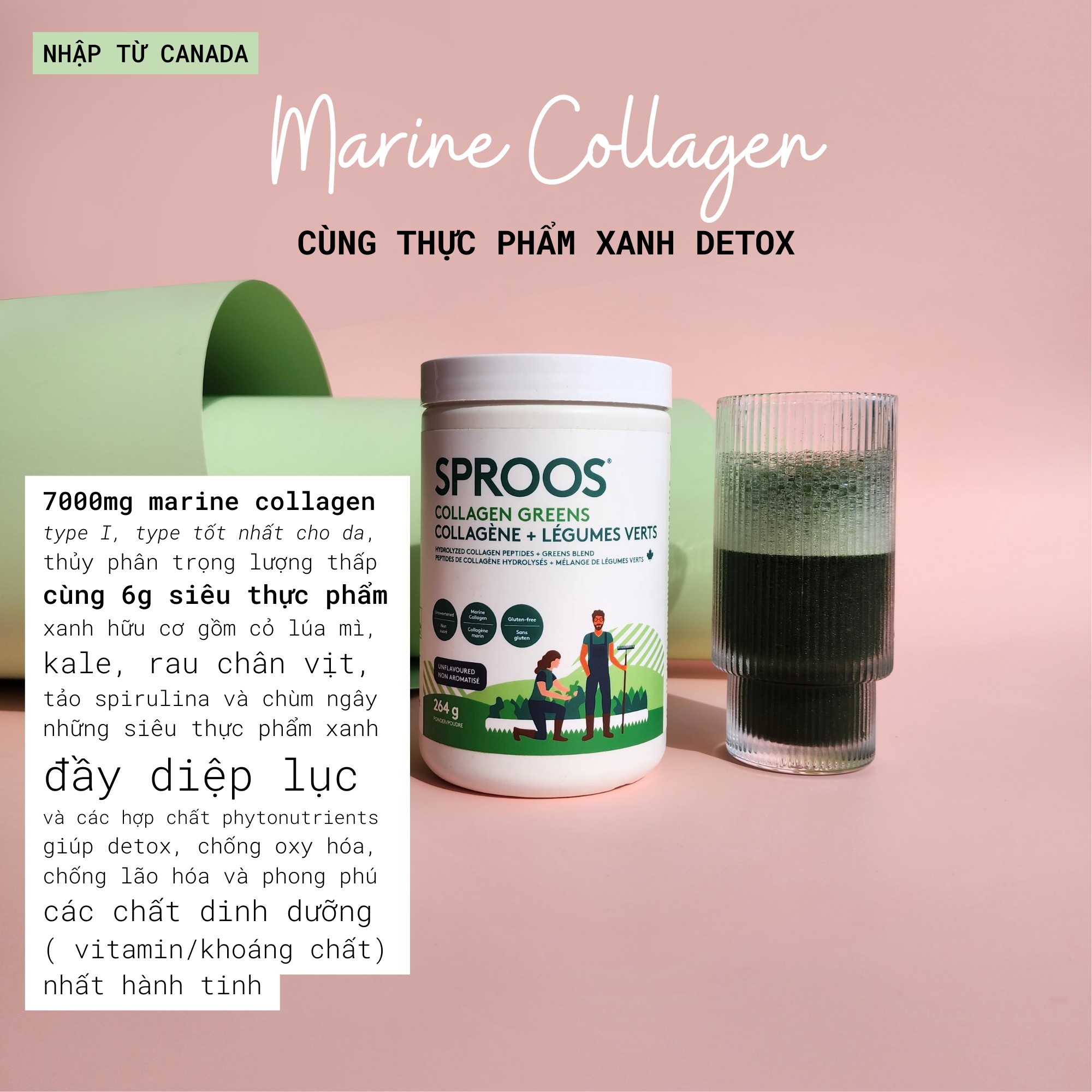 4 loại collagen bán chạy nhất 7