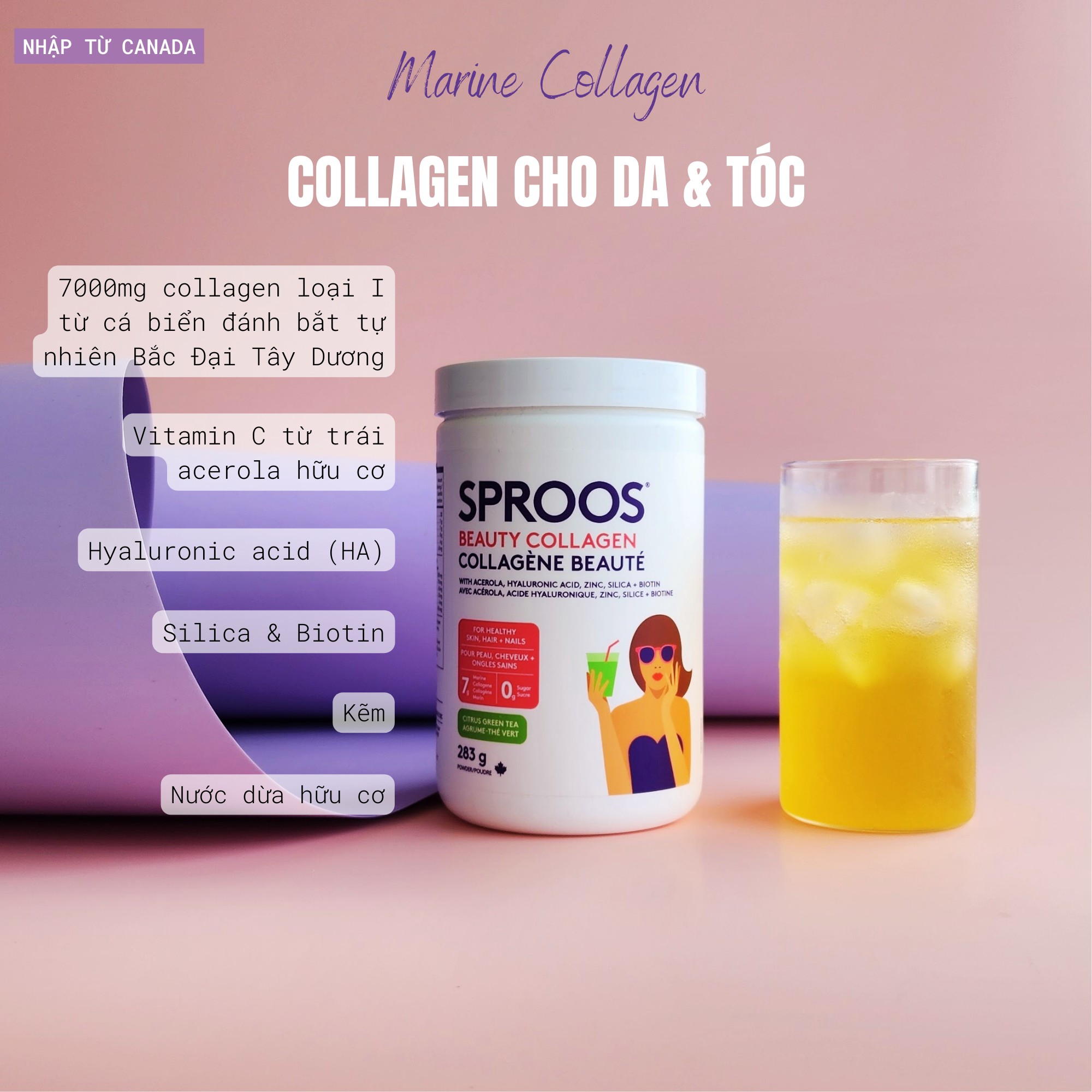 4 loại collagen bán chạy nhất 5