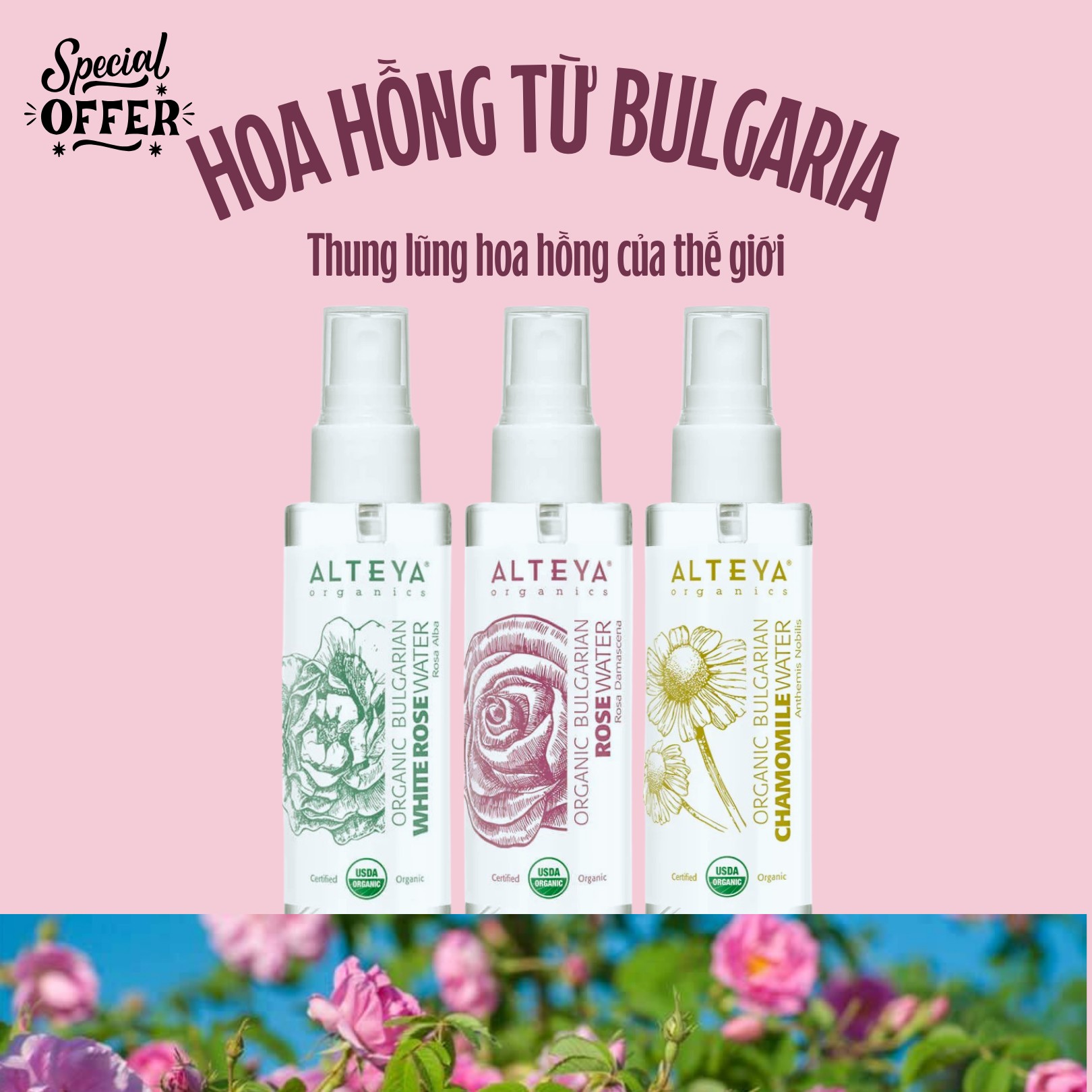 special deal alteya organic