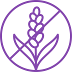 Không Gluten