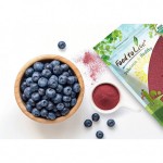 Bột việt quất hữu cơ Food To Live Organic Blueberry Powder